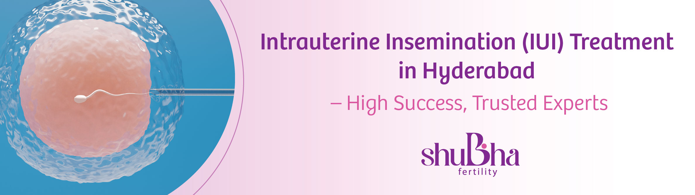 IUI Banner