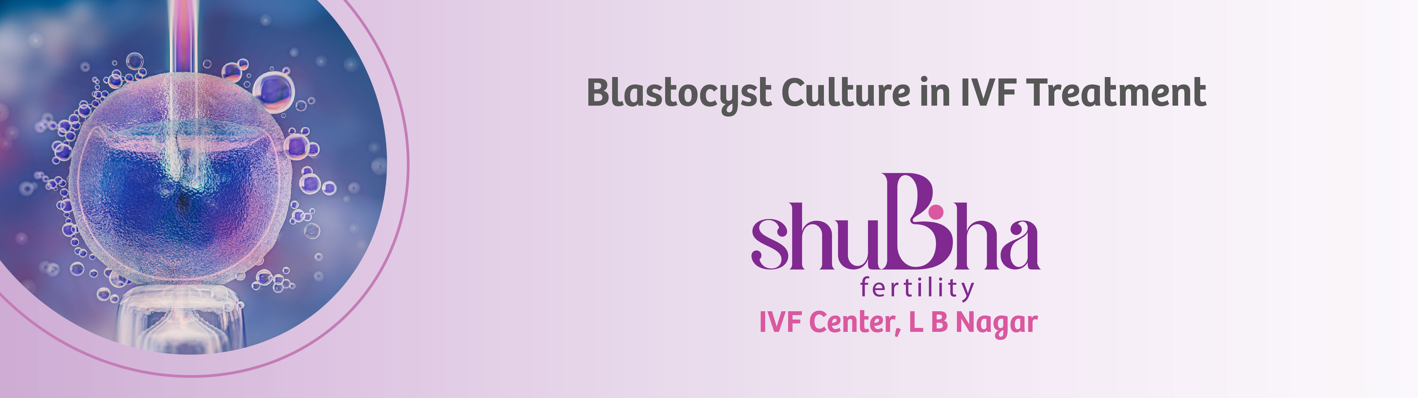 IUI Banner