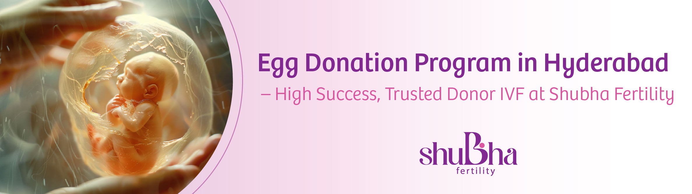 Egg Donation Banner
